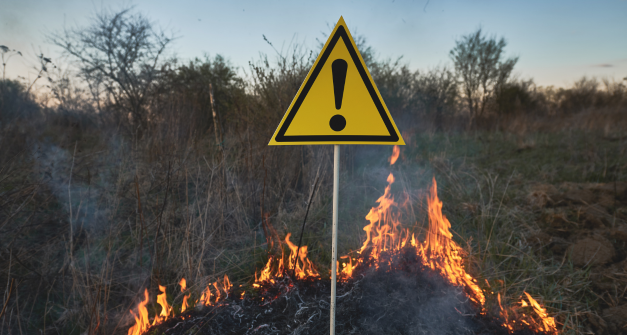 Curso Prevención de riesgos ambientales